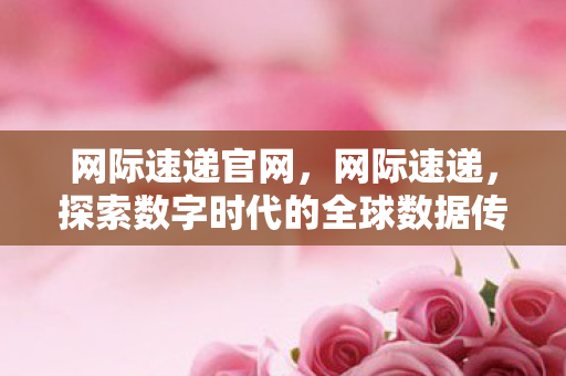 网际速递官网，网际速递，探索数字时代的全球数据传输新篇章