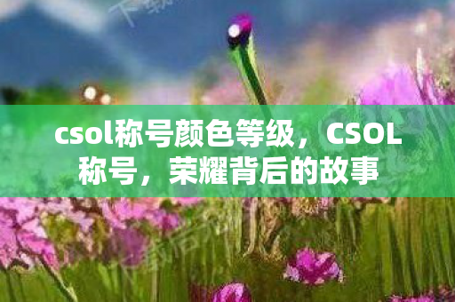 csol称号颜色等级，CSOL称号，荣耀背后的故事