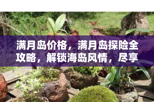 满月岛价格，满月岛探险全攻略，解锁海岛风情，尽享自然美景