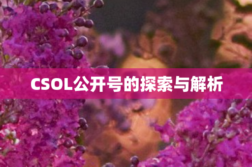 CSOL公开号的探索与解析 CSOL公开号的探索与解析
