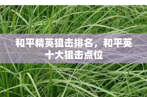 和平精英狙击排名，和平英十大狙击点位