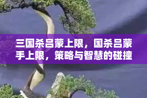 三国杀吕蒙上限，国杀吕蒙手上限，策略与智慧的碰撞