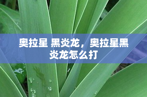 奥拉星 黑炎龙，奥拉星黑炎龙怎么打