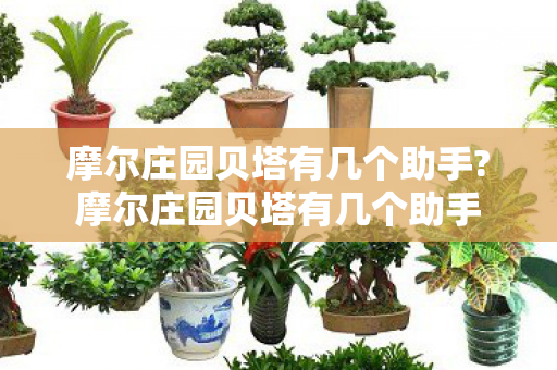 摩尔庄园贝塔有几个助手?摩尔庄园贝塔有几个助手