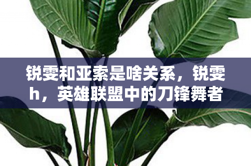 锐雯和亚索是啥关系，锐雯h，英雄联盟中的刀锋舞者，技能与操作的完美结合