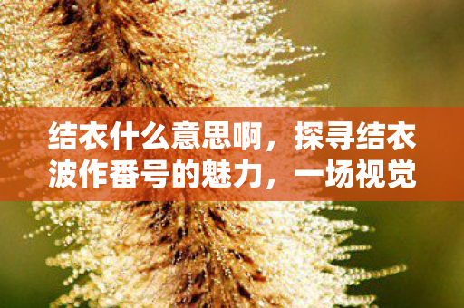 结衣什么意思啊，探寻结衣波作番号的魅力，一场视觉与情感的盛宴
