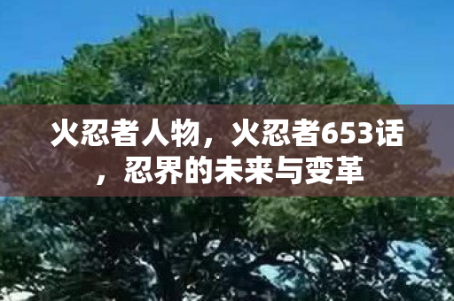 火忍者人物，火忍者653话，忍界的未来与变革