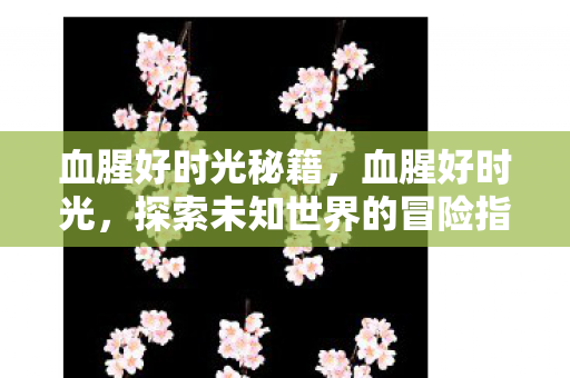 血腥好时光秘籍，血腥好时光，探索未知世界的冒险指南