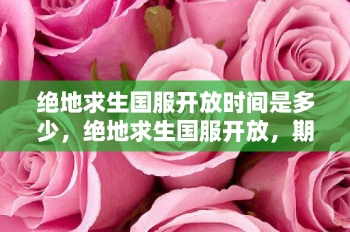 绝地求生国服开放时间是多少，绝地求生国服开放，期待与现实的交织