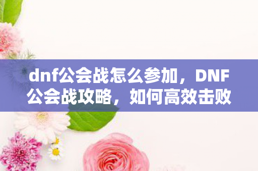 dnf公会战怎么参加，DNF公会战攻略，如何高效击败对手