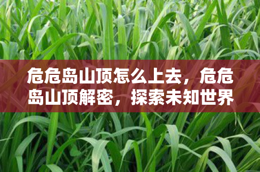 危危岛山顶怎么上去，危危岛山顶解密，探索未知世界的奇幻之旅