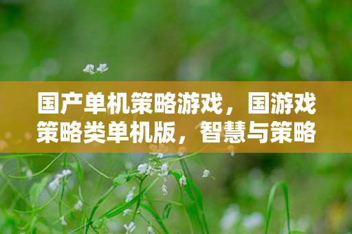 国产单机策略游戏，国游戏策略类单机版，智慧与策略的完美融合