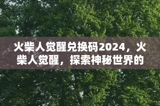 火柴人觉醒兑换码2024，火柴人觉醒，探索神秘世界的兑换码之旅