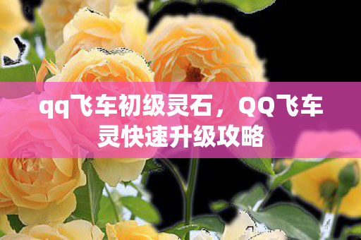 qq飞车初级灵石，QQ飞车灵快速升级攻略