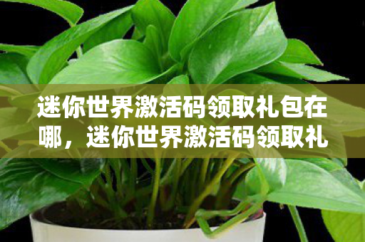 迷你世界激活码领取礼包在哪，迷你世界激活码领取礼包全攻略
