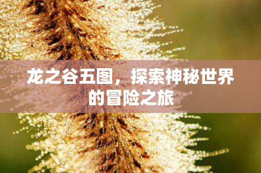 龙之谷五图，探索神秘世界的冒险之旅