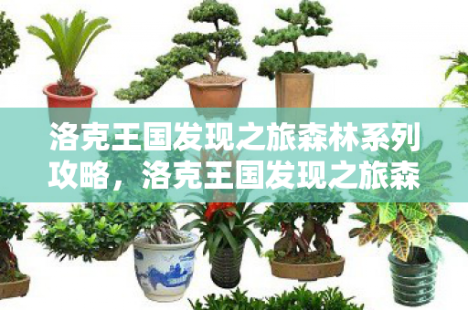 洛克王国发现之旅森林系列攻略，洛克王国发现之旅森林系列，探索神秘森林的奇幻之旅