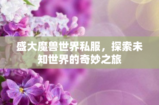 盛大魔兽世界私服，探索未知世界的奇妙之旅
