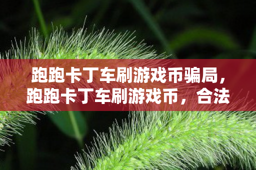 跑跑卡丁车刷游戏币骗局，跑跑卡丁车刷游戏币，合法合规的获取方式