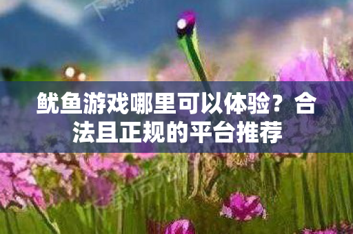 鱿鱼游戏哪里可以体验？合法且正规的平台推荐