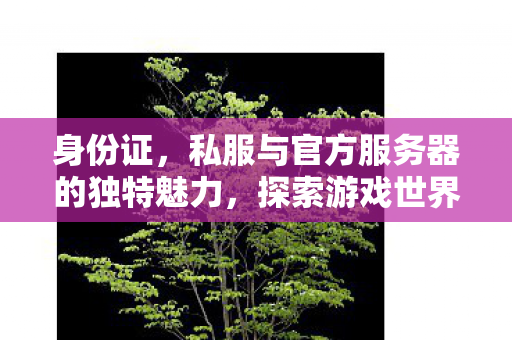 身份证，私服与官方服务器的独特魅力，探索游戏世界的不同维度