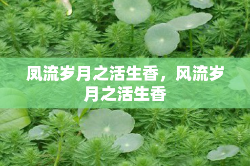 凤流岁月之活生香，风流岁月之活生香