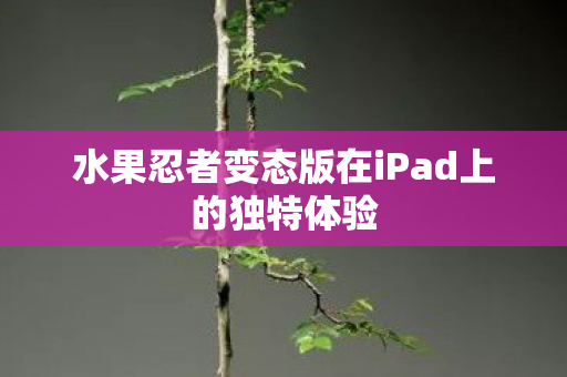 水果忍者变态版在iPad上的独特体验
