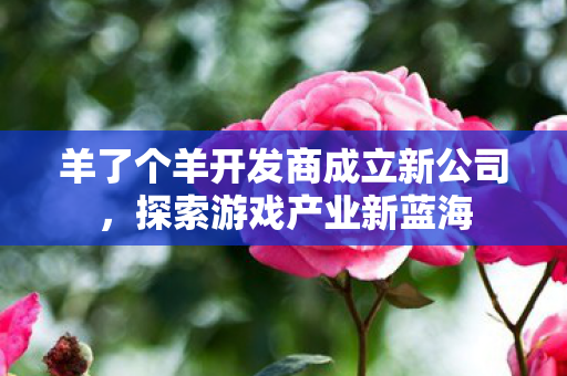 羊了个羊开发商成立新公司，探索游戏产业新蓝海
