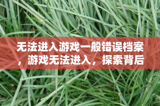 无法进入游戏一般错误档案，游戏无法进入，探索背后的原因与解决方案