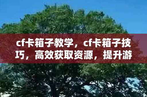 cf卡箱子教学，cf卡箱子技巧，高效获取资源，提升游戏胜率