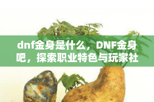 dnf金身是什么，DNF金身吧，探索职业特色与玩家社区的魅力