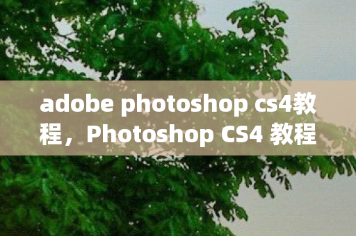 adobe photoshop cs4教程，Photoshop CS4 教程，掌握专业图像处理技巧
