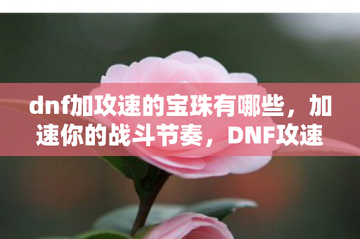dnf加攻速的宝珠有哪些，加速你的战斗节奏，DNF攻速宝珠全解析