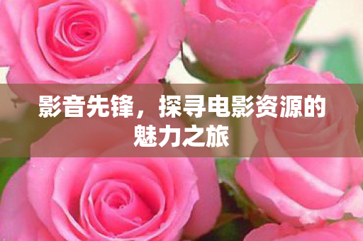 影音先锋，探寻电影资源的魅力之旅