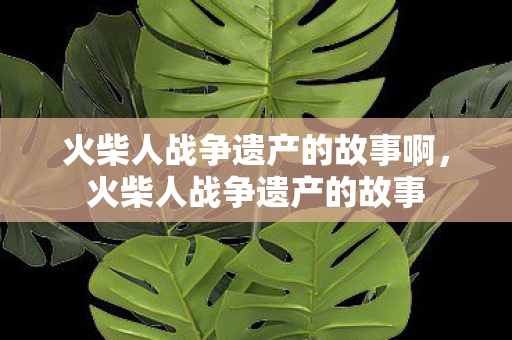 火柴人战争遗产的故事啊，火柴人战争遗产的故事