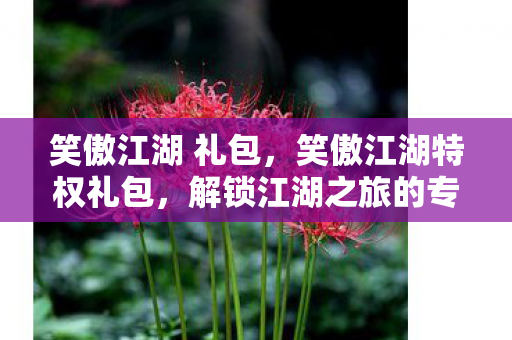 笑傲江湖 礼包，笑傲江湖特权礼包，解锁江湖之旅的专属秘籍