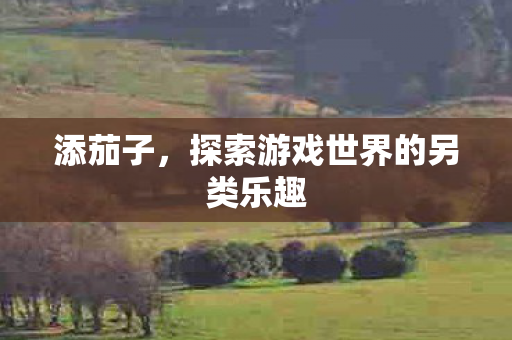 添茄子，探索游戏世界的另类乐趣