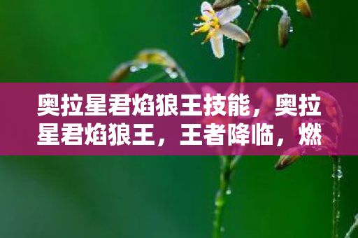 奥拉星君焰狼王技能，奥拉星君焰狼王，王者降临，燃尽星辰的炽热之魂