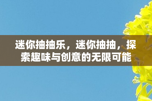 迷你抽抽乐，迷你抽抽，探索趣味与创意的无限可能