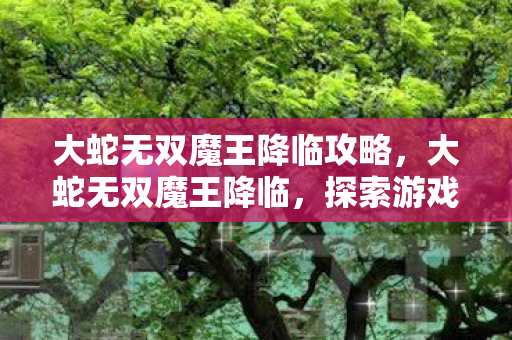 大蛇无双魔王降临攻略，大蛇无双魔王降临，探索游戏世界的无限可能