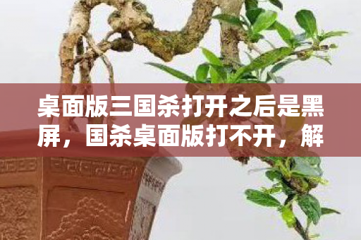 桌面版三国杀打开之后是黑屏，国杀桌面版打不开，解决之道与深度探讨