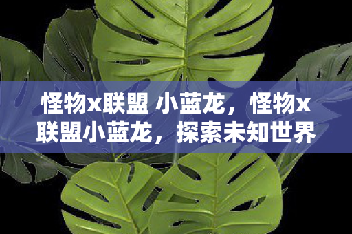 怪物x联盟 小蓝龙，怪物x联盟小蓝龙，探索未知世界的神秘伙伴