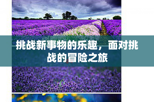 挑战新事物的乐趣，面对挑战的冒险之旅