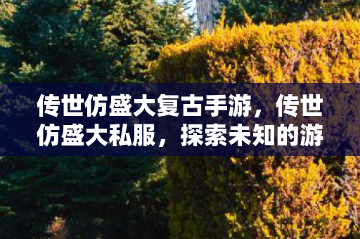 传世仿盛大复古手游，传世仿盛大私服，探索未知的游戏世界