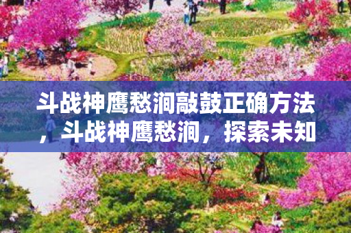 斗战神鹰愁涧敲鼓正确方法，斗战神鹰愁涧，探索未知世界的奇幻之旅