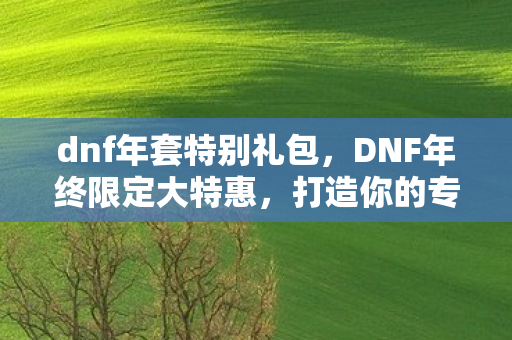 dnf年套特别礼包，DNF年终限定大特惠，打造你的专属冒险之旅