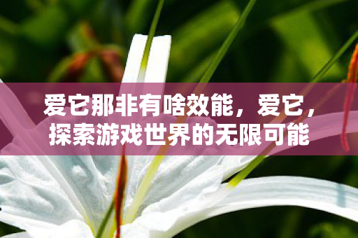 爱它那非有啥效能，爱它，探索游戏世界的无限可能