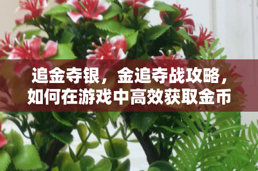 追金夺银，金追夺战攻略，如何在游戏中高效获取金币与珍贵道具