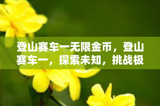 登山赛车一无限金币，登山赛车一，探索未知，挑战极限的赛车之旅