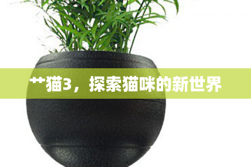 艹猫3，探索猫咪的新世界